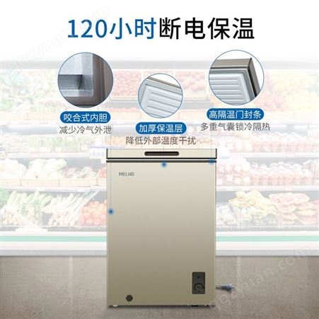 美菱100升小冷柜家用冰柜冷藏冷冻转换一级单温减霜BC/BD-100DT